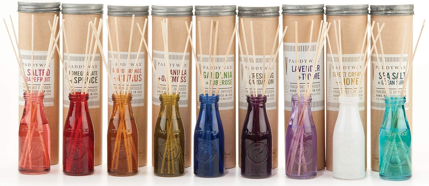 Paddywax Candles Relish Collection Soy Wax Blend Candle in Mason Jar Candle, Medium- 9.5 Ounce, White Birch + Mint: Home & Kitchen