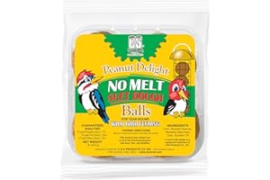 C&S Peanut Delight No Melt Dough Balls for Wild Birds Including Woodpeckers and Blue Jays, Pack of 4