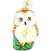 Old World Christmas Owl Glass Blown Ornament for Christmas Tree, Handcrafted Holiday Decoration, Owl Collection