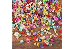 MIDELONG Mini Dried Flowers for Resin, Small Dried Flowers for Crafts Resin Nails, Tiny Natural Real Dried Pressed Flowers for DIY Jewelry Earrings Epoxy Molds Candles Soap Making, Pack of 200