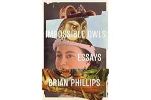 Impossible Owls: Essays