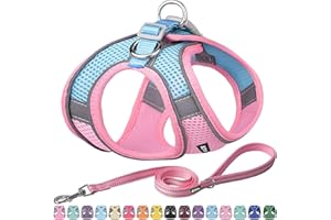 AIITLE No Pull Dog Harness and Leash Set, Step in Adjustable Dog Harness with Padded Vest for All Weather, Dog Leash with Soft Padded Handle, Easy to Put on Small and Medium Dogs Pink S