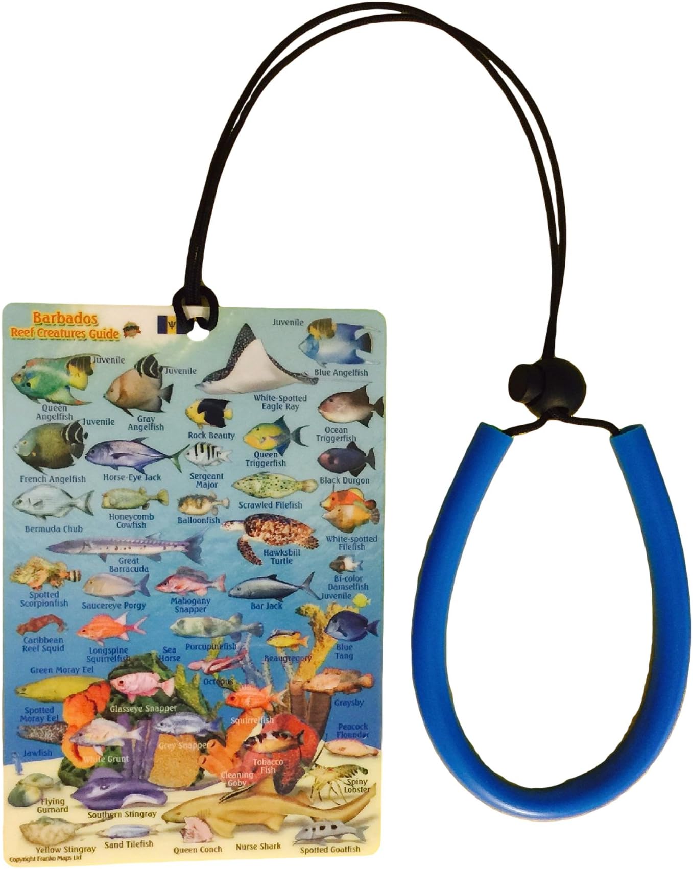 101Snorkel New! Franko Mini Map and Fish Identification Card 4" x 6" with Free Lanyard
