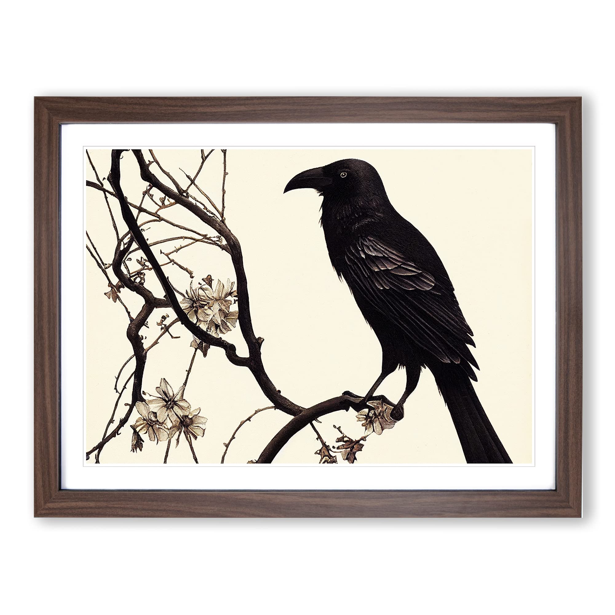 Terrific Crow Bird Framed Print | A3 Walnut Framed Wall Art | Ready to Hang | Modern Animal Picture | Living Room Bedroom Lounge Office