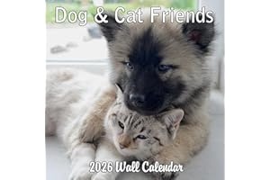 BLUE WOLF CALENDAR COMPANY 2026 Dog & Cat Friends Monthly Wall Calendar | Cute Animals Calendar 2025-2026