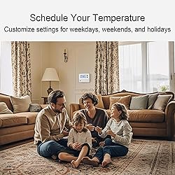 SASWELL T21 Programmable 2 Heat/1 Cool Thermostat