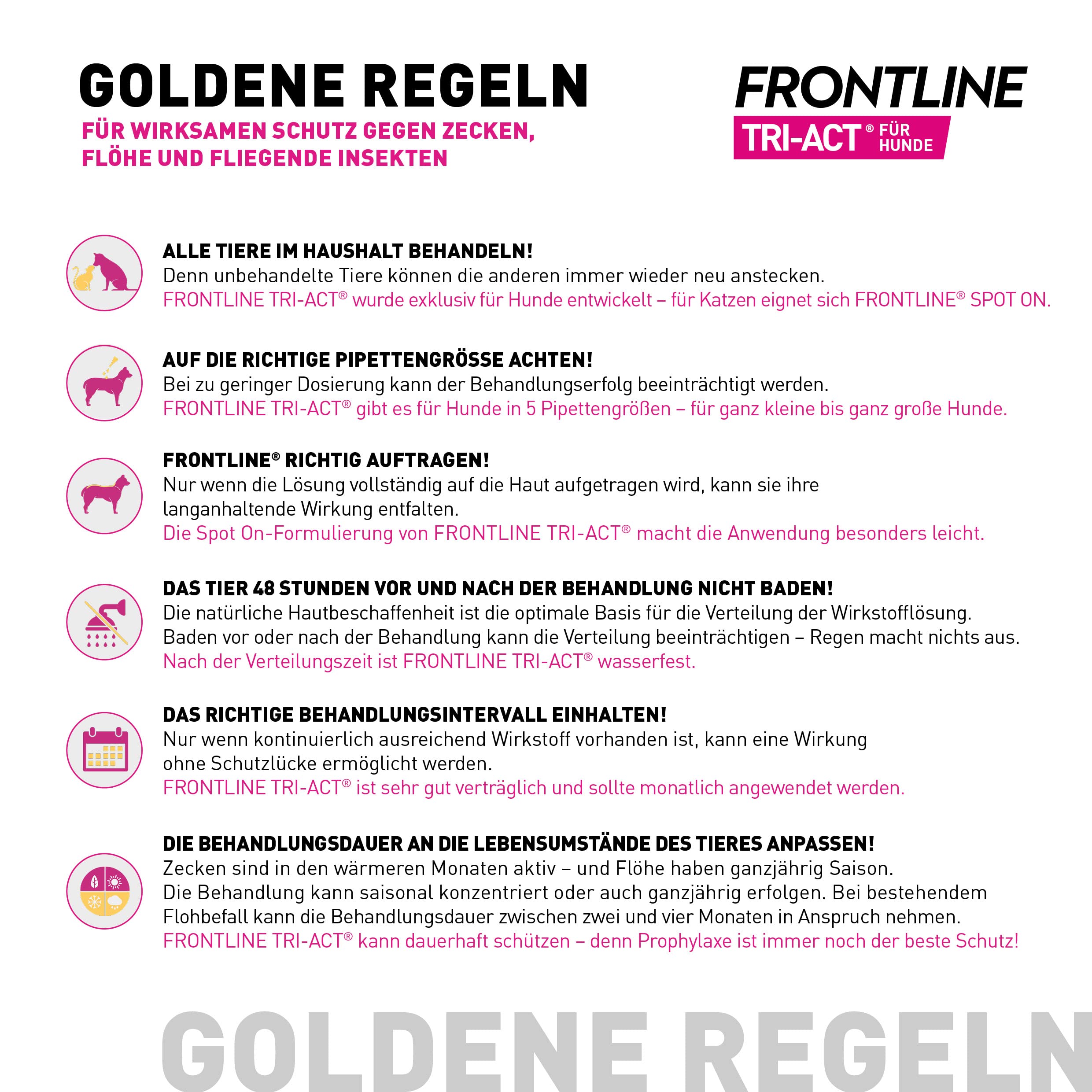 FRONTLINE TRI-ACT Hund L gegen Zecken, Flöhe & Mücken (große Hunde 20 bis 40 kg) - 3X Pipetten für bis zu 3 Monate Schutz - wasserfest - perfekt auf Reisen 8