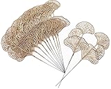 Golden Ginkgo Leaves Stems Christmas