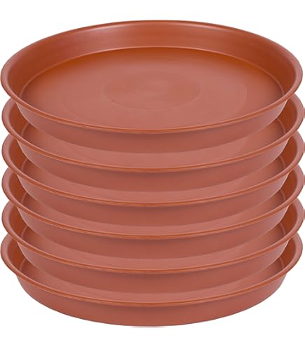 Soucoupe Ronde Pour Pots Angde Lot De 6 Soucoupes Rondes En Plastique De 20,3 Cm Pour Pots De Fleurs D'intérieur De 20,3 Cm, Soucoupes Pour Pot De Fleurs De 17,8 à 22,9