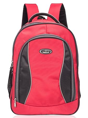 Cosmus Edwin Polyester 37 litres Red School Bag