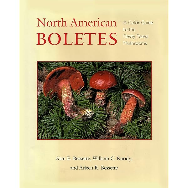 Waxcap Mushrooms of Eastern North America: Bessette, Alan