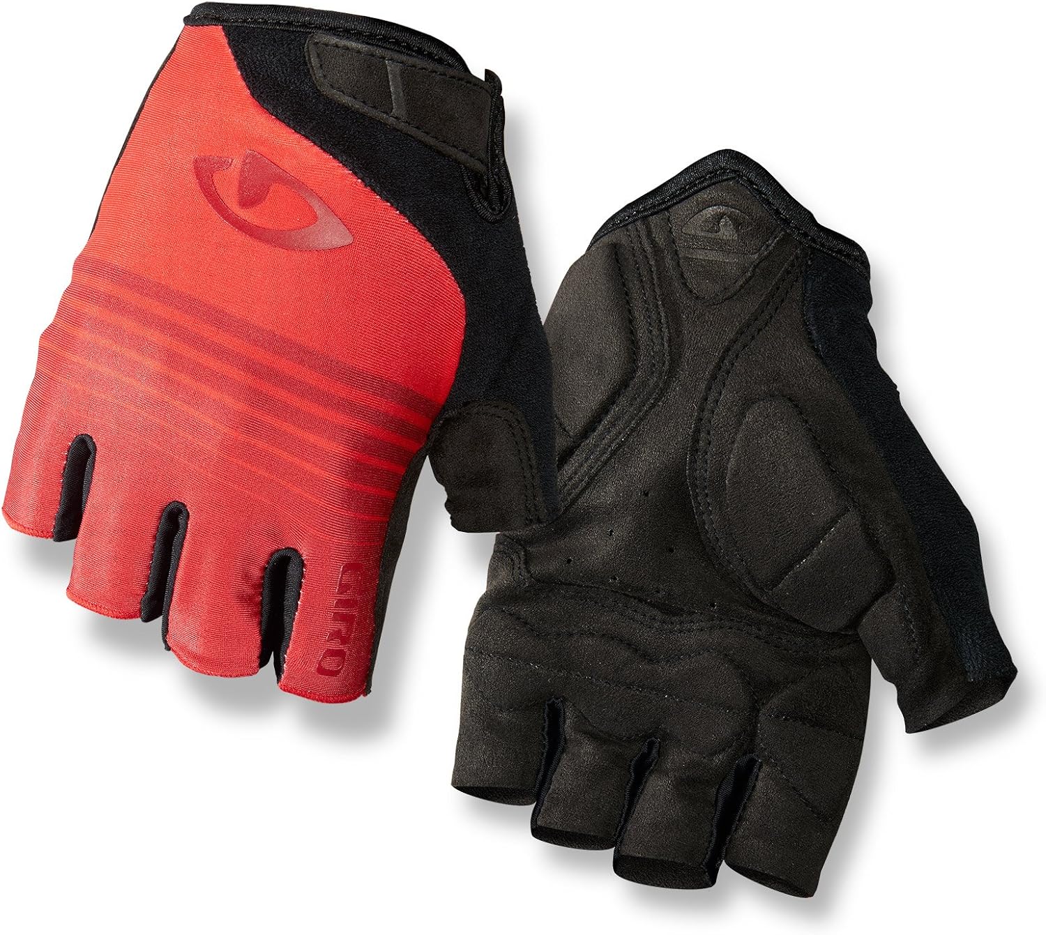 Best Lightly Padded Road Bike Seat