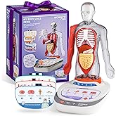 Science Can Human Body Model for Kids, Interactive Human Anatomy Talking Model - 11 Inch Realistic Anatomical Assembly Kit, 15PCS Removable Parts & Guide, Educational STEM Toys Gifts for Kids Aged 6+