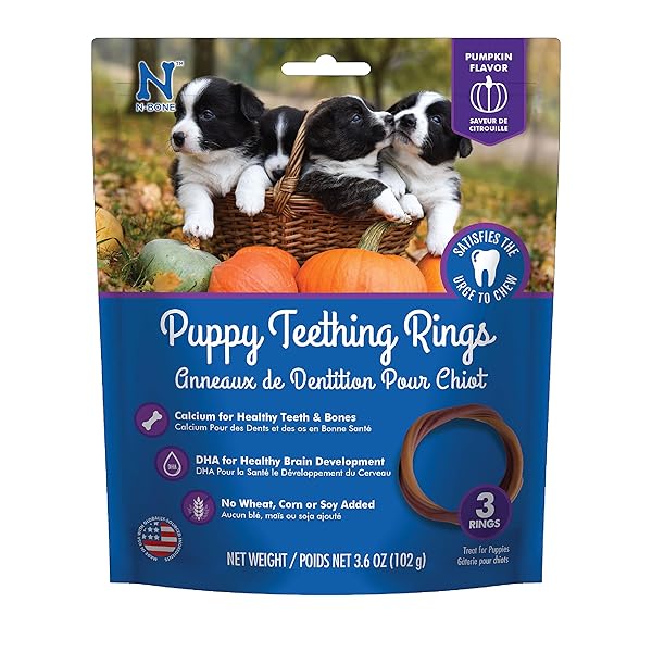 N-BONE PUPPY TEETHING RING PUMPKIN FLAVOR, 3.6 OZ, 3 RINGS
