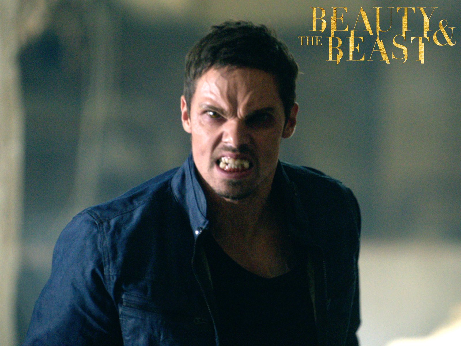 Watch Beauty The Beast Season 2 Prime Video