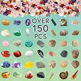 Science Kidz Ultimate Rock Collection Kit Over 150 Gemstones Fossils view 3