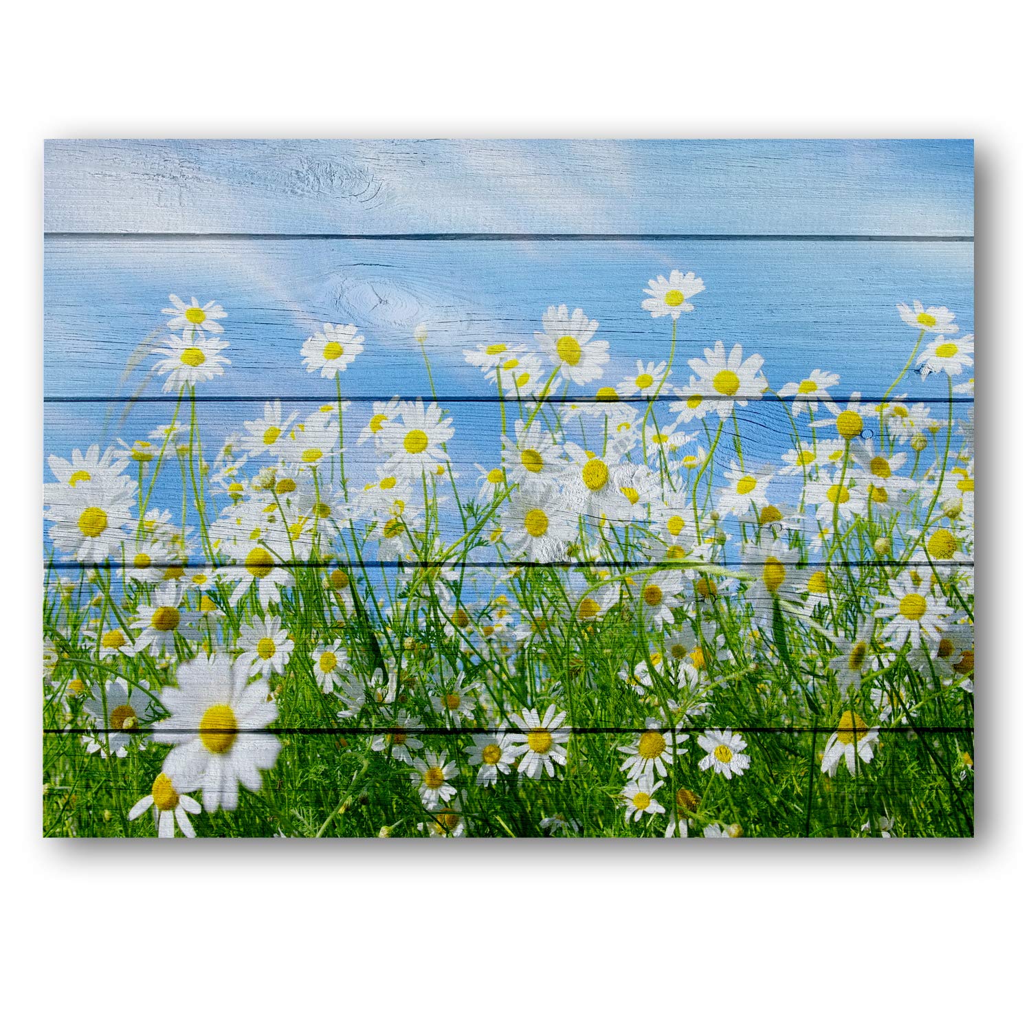 Best flowers wall picture for living room