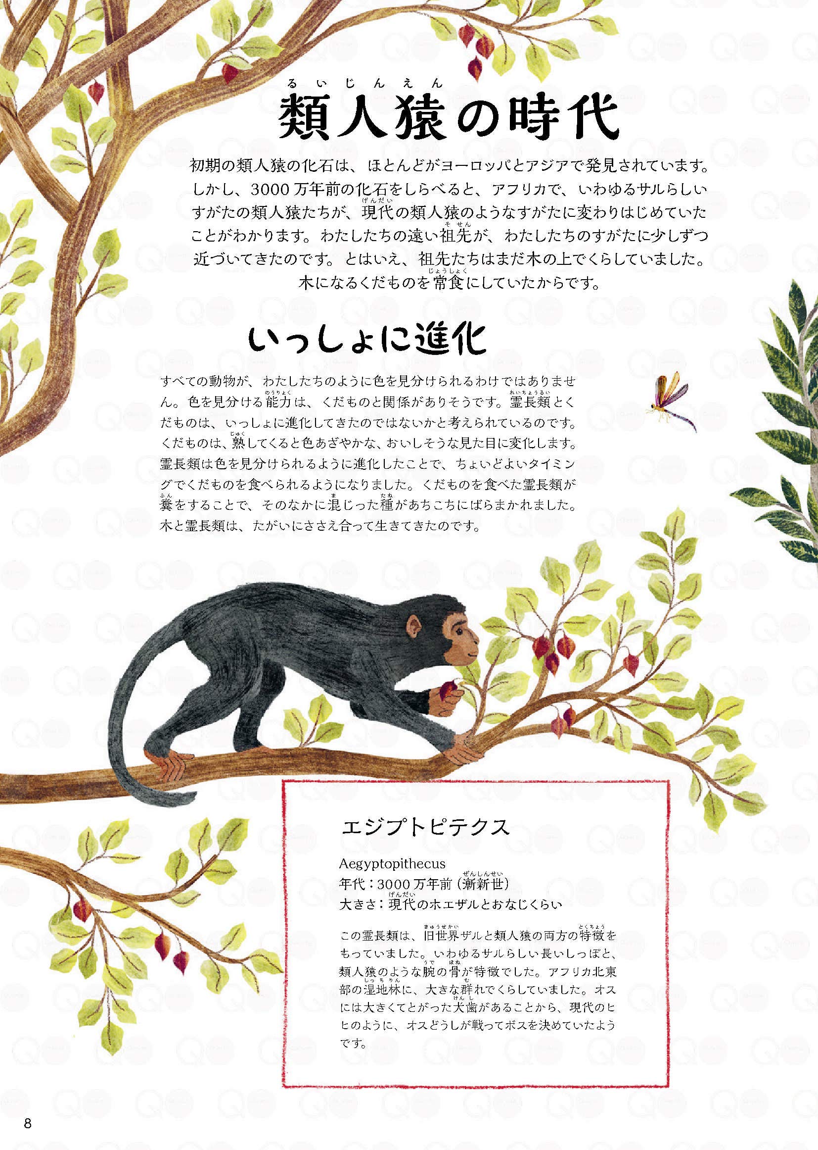 こうしてヒトになった 人類のおどろくべき進化の旅 マイケル ブライト ハンナ ベイリー 堀江 里美 本 通販 Amazon