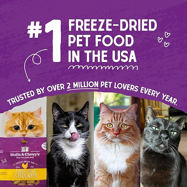 STELLA & CHEWY’S FREEZE-DRIED RAW CAT DINNER MORSELS – PREMIUM BEEF RECIPE WITH 98% GRASS-FED MEAT & ORGANS – NATURAL GRAIN-FREE CAT & KITTEN FOOD – MADE IN USA – 3.5 OZ
