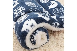FETNHU Cozy Calming Cat Blanket, Cat Bed Self Heating Pet Pad, Ultra Soft and Warm Dog Cat Bed Mat Flannel Blanket, Dog Blankets for Indoor Cats, Warm Pet Mat in A Variety of Sizes to Fit Most Pets (G,XL)
