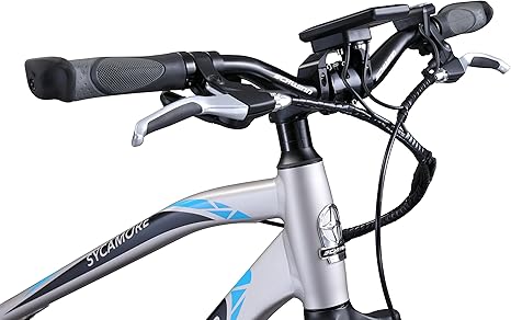 schwinn sycamore 350 review