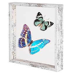 Califortree 11x11 Shadow Box Frame with Soft Linen