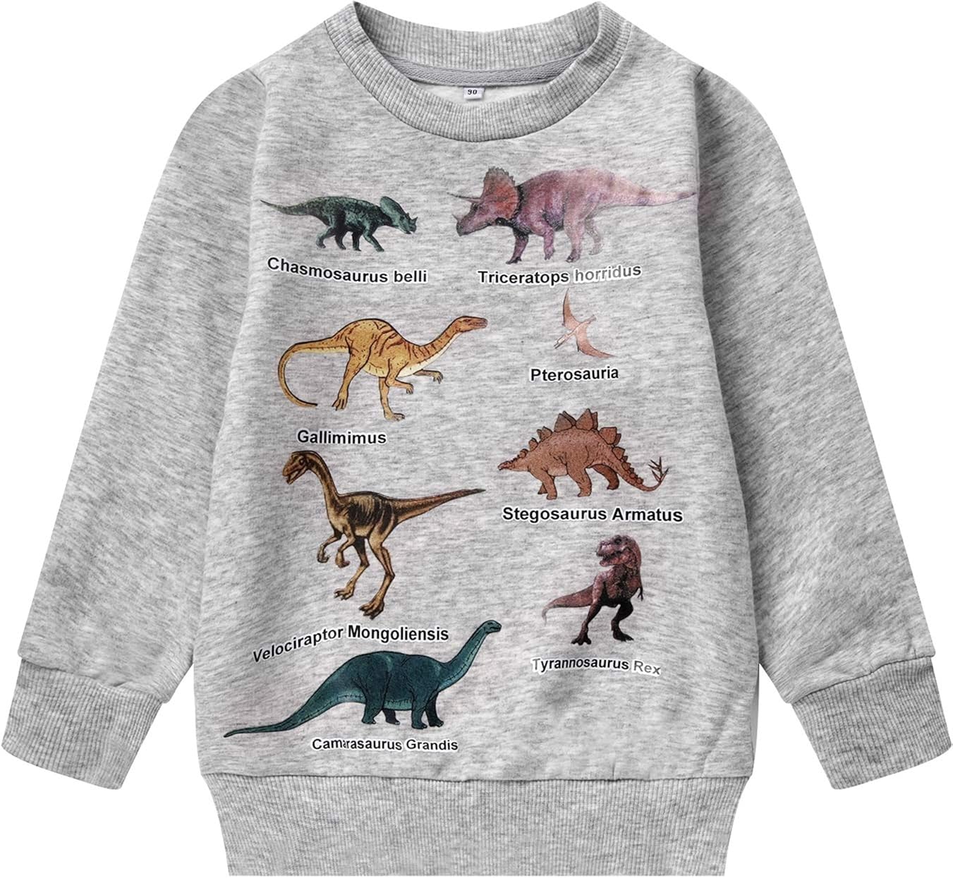 Boys Cartoon Sweatshirts Long Sleeve Crewneck Pullover Toddler Kids Winter Warm Shirt 3t-8t: Clothing