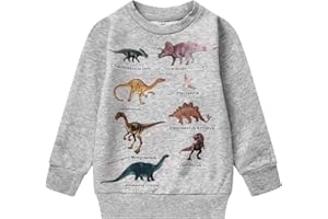 Akyzic Boys Sweatshirts Cotton Long Sleeve Crewneck Pullover Toddler Kids Winter Warm Shirt Sweater Tops 3t-8t