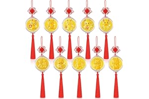 JULMELON 20PCS Chinese New Year Decorations 2024 Year of The Dragon Gold Coinages Feng Shui Hanging Pendants Chinese Knot Good Lucky Charms Ornaments Spring Festival Lunar New Year Wealth Success