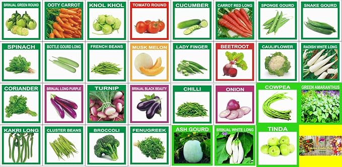 KRIWIN (Organic/Hybrid) Fruits & Vegetables Seed 31 Varieties 930+ seeds