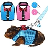Rypet Guinea Pig Harness and Leash 2 Pieces - Soft