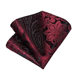DiBanGu Silk Paisley Ties for Men Woven Necktie and