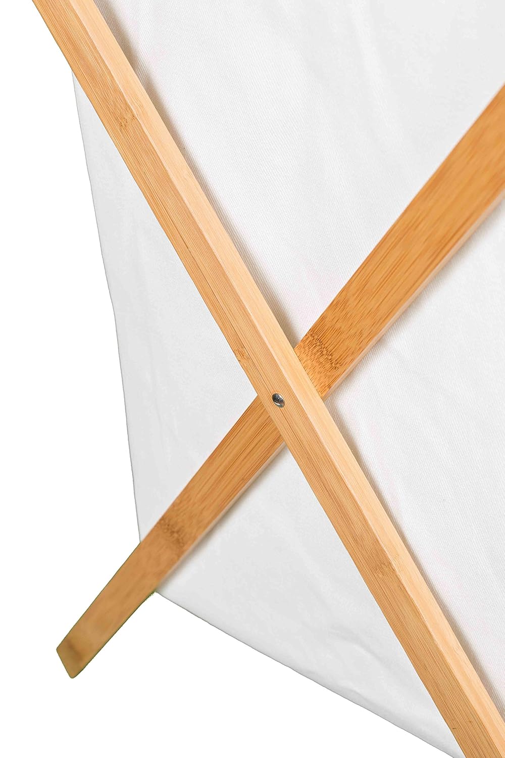 Canvas line. Canvas line