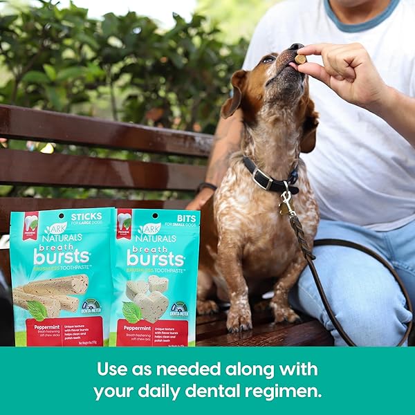 ARK NATURALS BREATH BURSTS BRUSHLESS TOOTHPASTE DOG TREATS, DOG DENTAL BITS FOR SMALL BREEDS, UNIQUE TEXTURE HELPS CLEAN TEETH & FRESHEN BREATH, PEPPERMINT, 4 OZ, 1 PACK