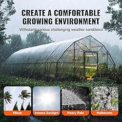 VEVOR Greenhouse Plastic Sheeting 10 x 40 ft 6 Mil