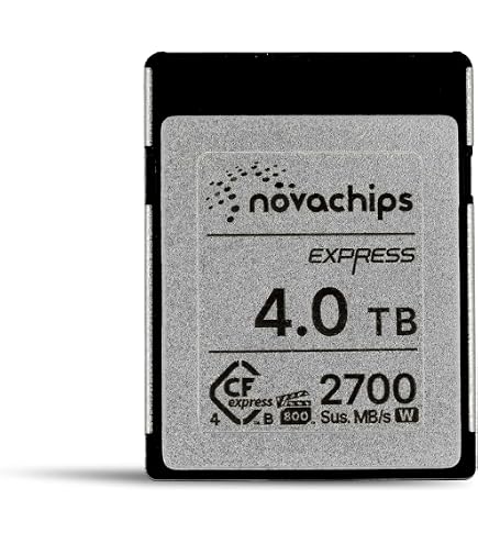 Amazon.com: Novachips 500GB Express CFexpress Type B Memory Card