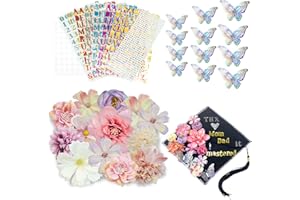 RAOVCUS DIY Graduation Cap Decorations Pink Accessory Kit,3D Artificial Flowers for Grad Hats Decor,Gorros De Graduacion 2024 Decoracion | Rhinestones for Craft, English Letter Sticker,Butterfly Decor
