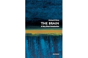 The Brain: A Very Short Introduction (Very Short Introductions)