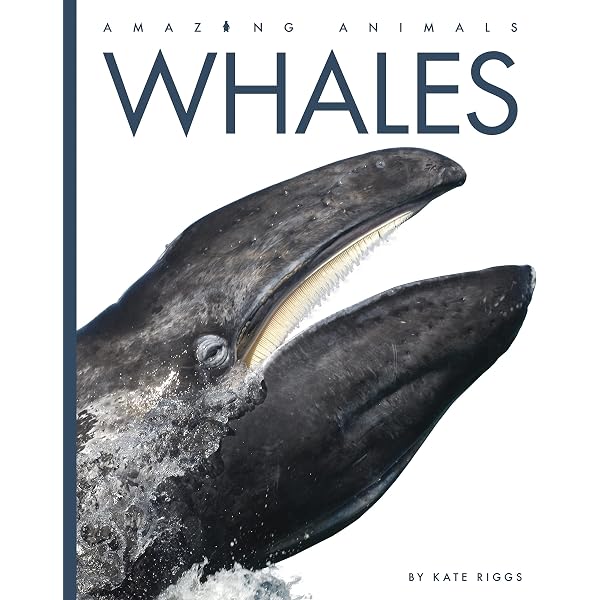 Animal Life: Secrets of the Animal World Revealed: Parsons, Katie