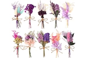 Auch 10 Pack Dried Flower Bouquets Mini Dried Flower with Stem Dried Embossing Natural Flower Bundles Artificial Flower Dried