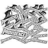 Desert Cactus Providence College Sticker Friars Vinyl Decals Laptop Water Bottle Car Scrapbook T1 (Type 1-1)