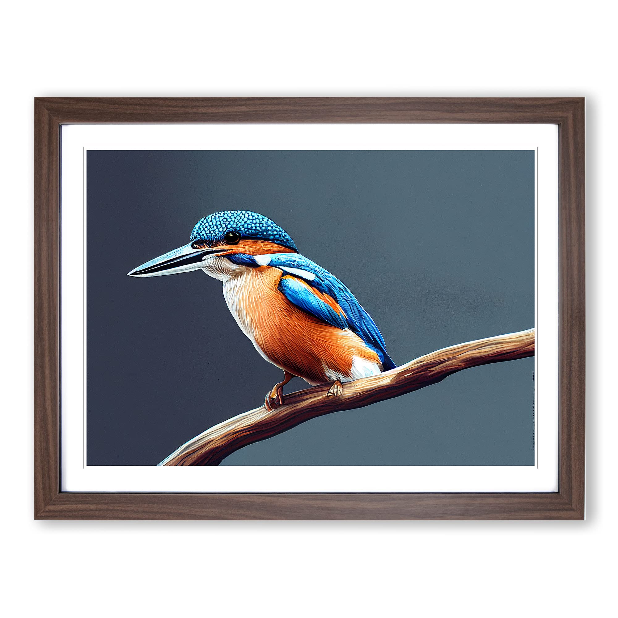 Gorgeous Kingfisher Bird Framed Print | A4 Walnut Framed Wall Art | Ready to Hang | Modern Nature Picture | Living Room Bedroom Lounge Office