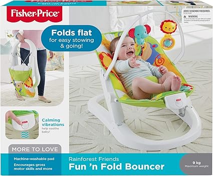 fisher price fold flat bouncer