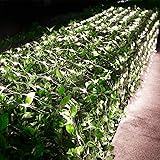 Joomer 12ft x 5ft 360 LED Christmas Net Lights,8