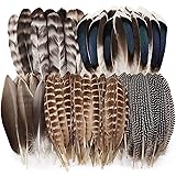 iHUFeather 40pcs Natural Pheasant Feathers Bulk