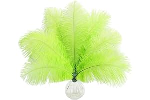 SENDYFEATHER 10pcs Natural Lemon Green Ostrich Feathers 10-12inch 25-30cm for Wedding Party Centerpieces, Easter Home Decorations
