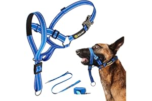 Zevey Dog Headcollar with Leash and Safety Strap Stops Heavy Pulling On The Leash Padded Reflective Head Halter for Small Medium Large Dogs Adjustable Head Harness for Training and Walking, (L, Blue)