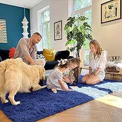 OLANLY 5x7 Machine Washable Large Area Rugs for
