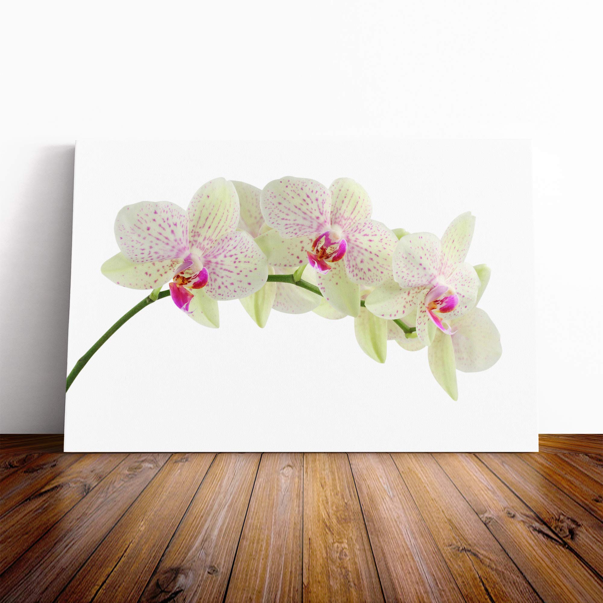 Flower White Orchid (2) Canvas Print | Gallery Wrapped 30mm Frame Wall Art | 20x14 inches | Ready to Hang | Modern Floral Picture | Living Room Bedroom Lounge Office