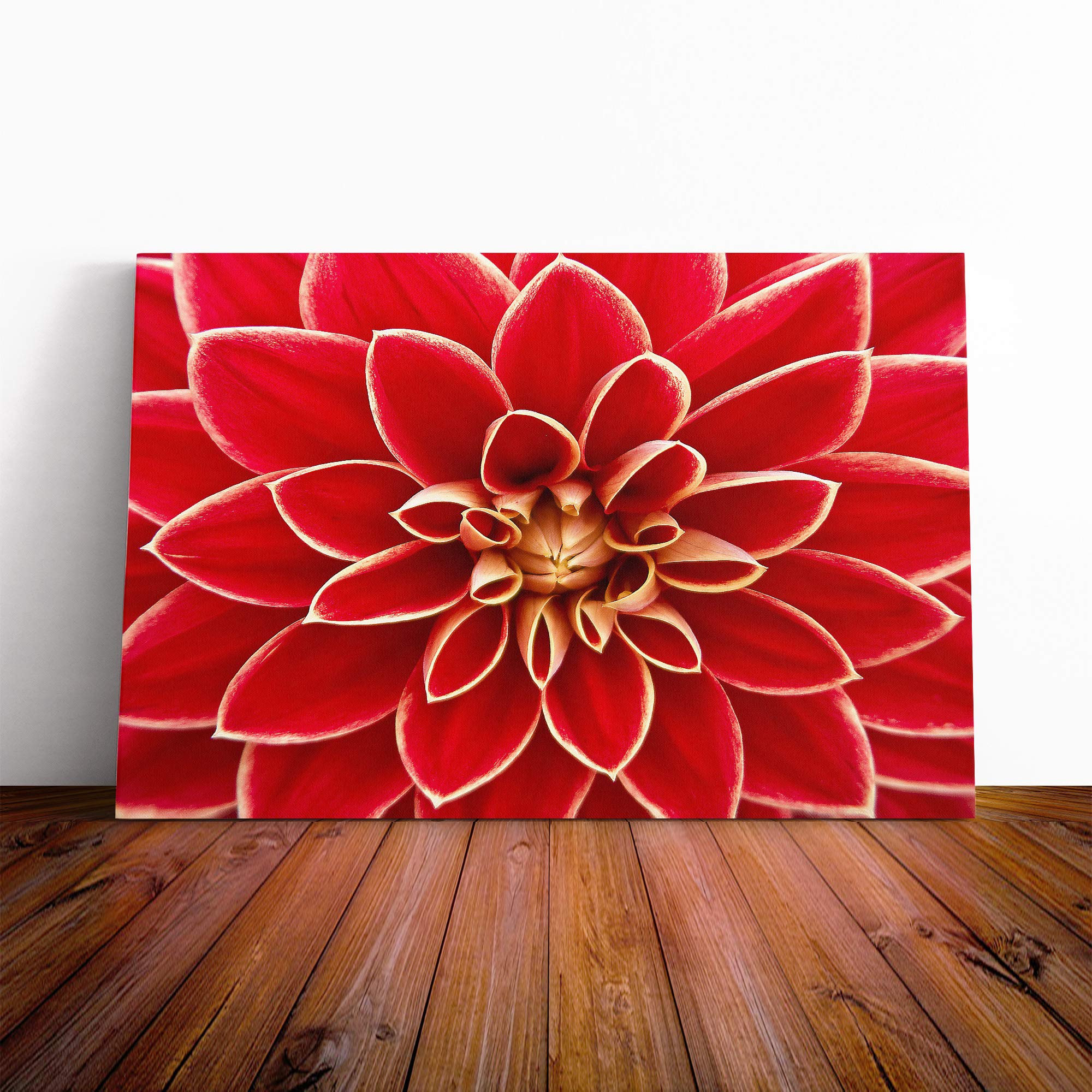 Flower Pink Dahlia (1) Canvas Print | Gallery Wrapped 30mm Frame Wall Art | 20x14 inches | Ready to Hang | Modern Floral Picture | Living Room Bedroom Lounge Office
